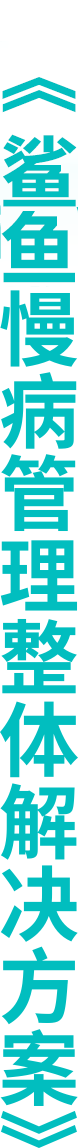 河南鲨鱼健康管理有限公司